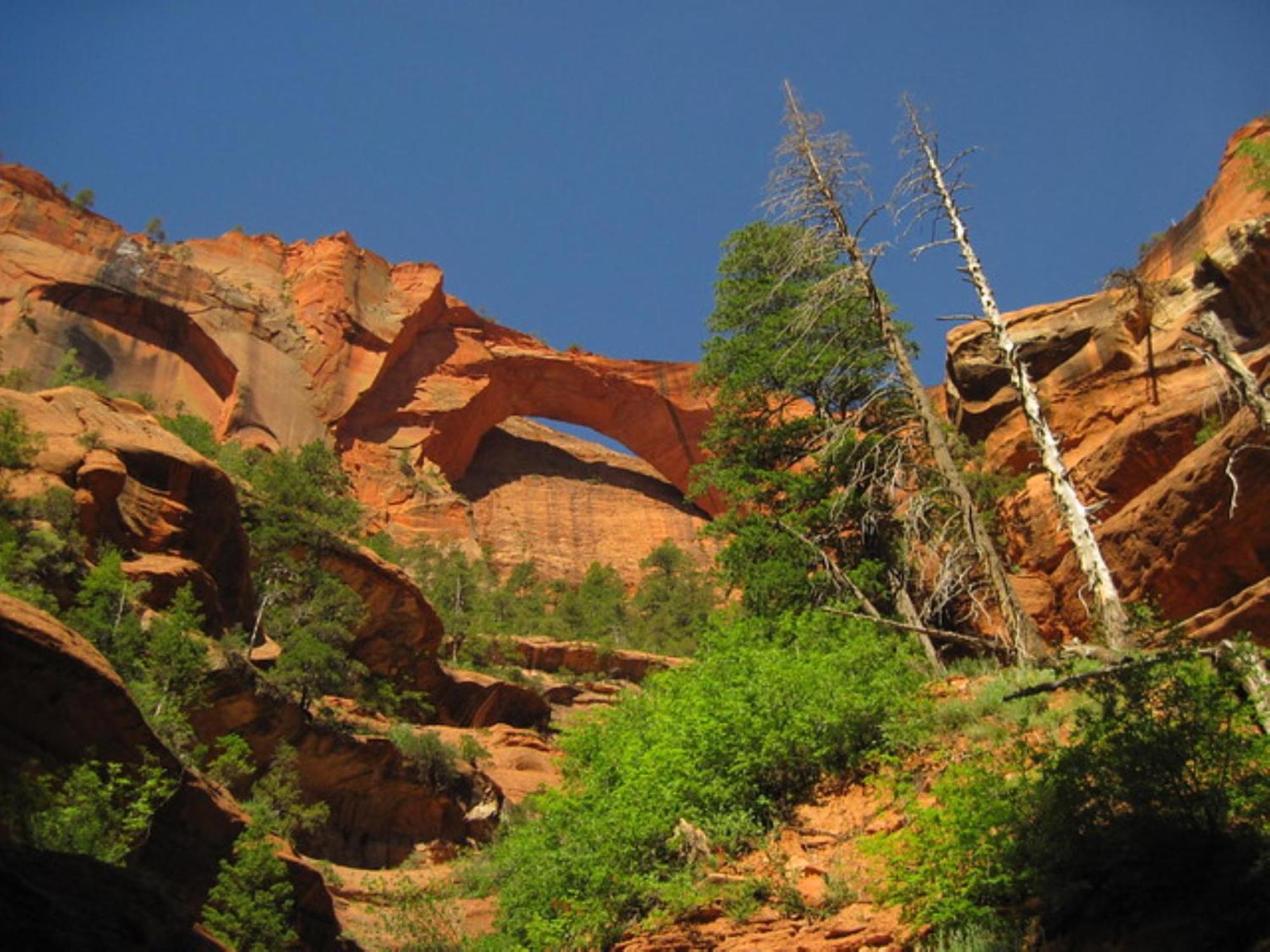 Holiday Inn La Verkin - Zion Park By Ihg エクステリア 写真